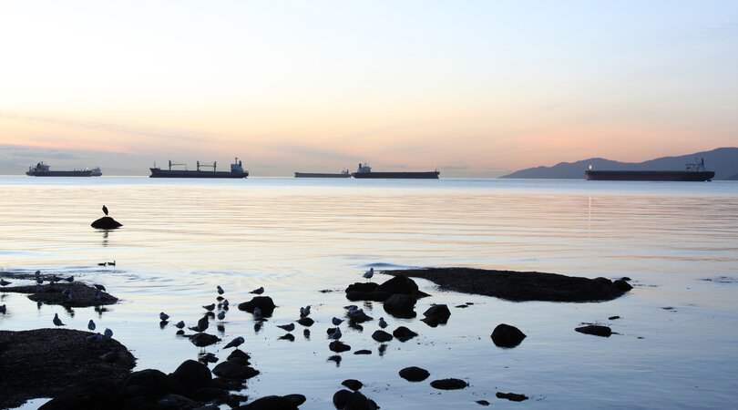 船舶輸送における脱炭素化：契約上および用船契約上の問題