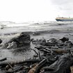 国际独立油轮船东协会 (INTERTANKO)《新西兰生物污损和压载水要求指南》（第二版）
